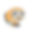 Token 16