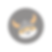 Token 5